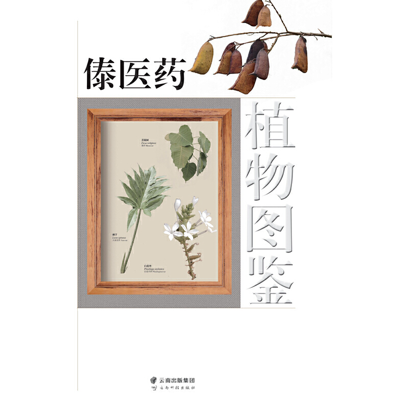 ���t(y��)ˎֲ��D�b