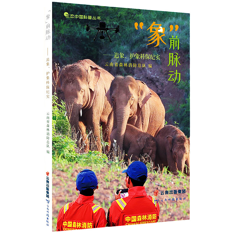 ����ǰ�}��(d��ng)����׷�����o(h��)��Ʊ��o(j��)��(sh��)