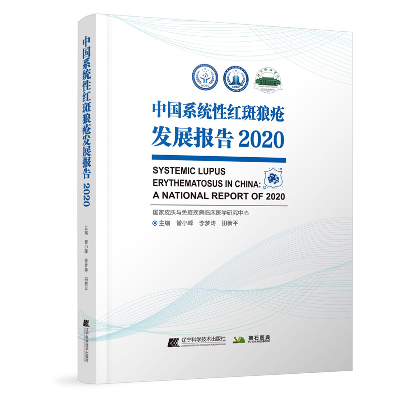 �Ї�(gu��)ϵ�y(t��ng)�Լt���ǯ��l(f��)չ��(b��o)��.2020