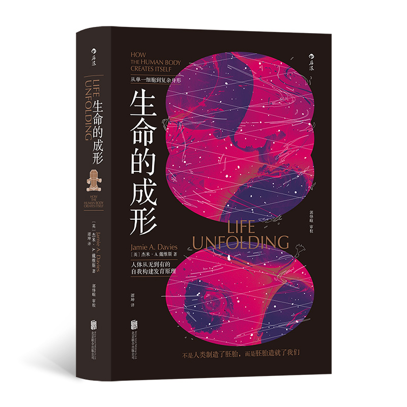 �����ĳ��Σ����������������̥��������̥������҂�