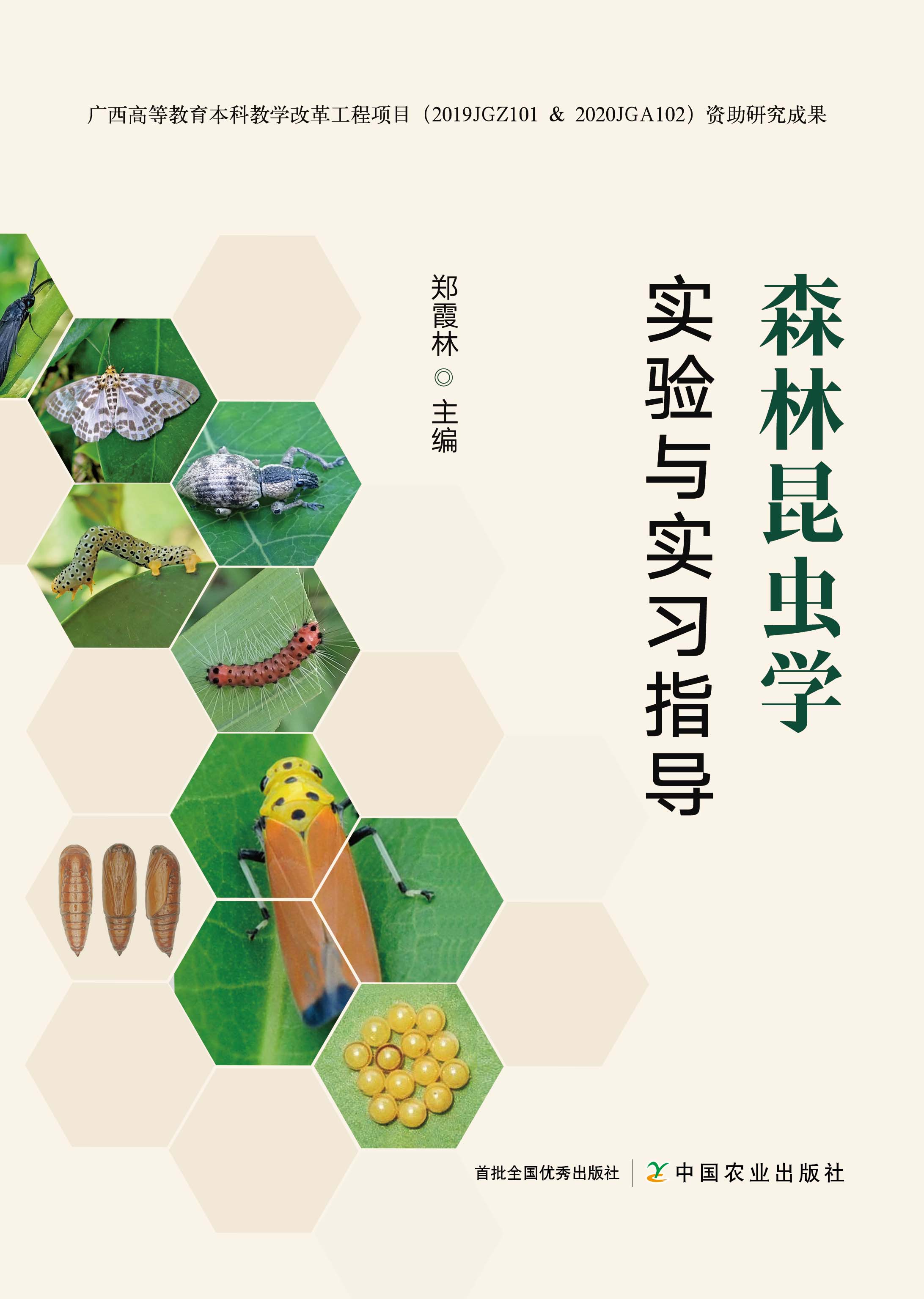 ɭ�����x(ch��ng)�W(xu��)��(sh��)�(y��n)�c��(sh��)��(x��)ָ��(d��o)