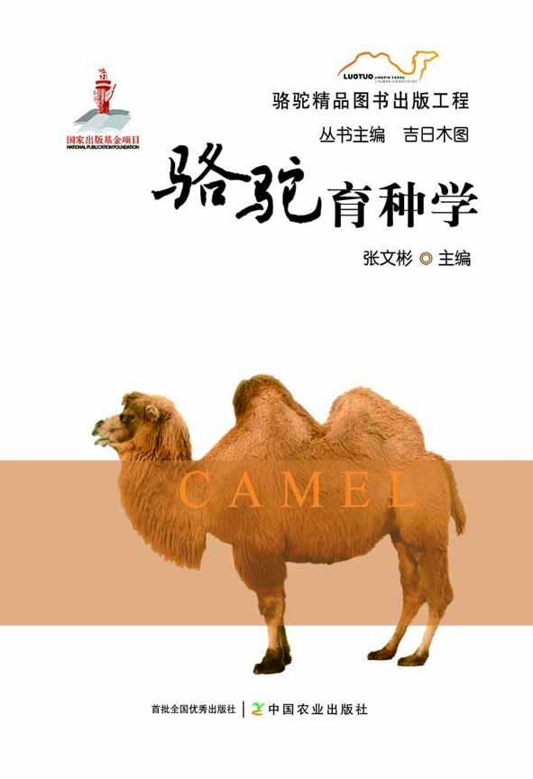 �����N�W