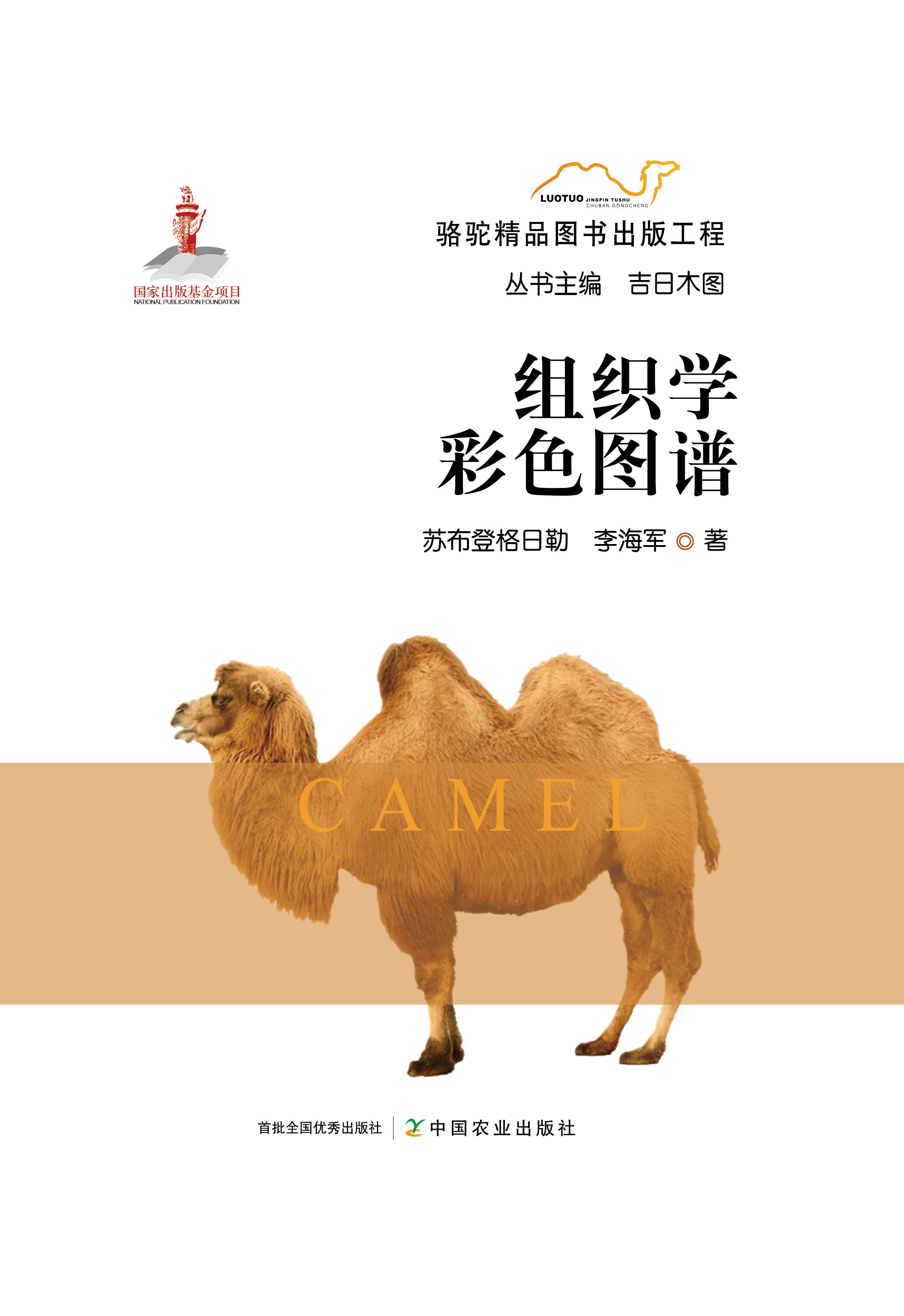 ��M���W��ɫ�D�V