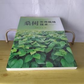 ɣ�䌍(sh��)�����༼�g(sh��)