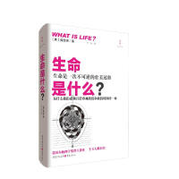 ������ʲô��