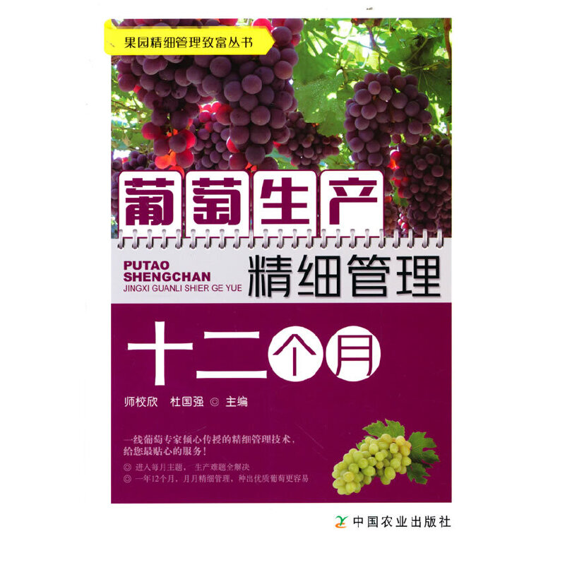 �������a(ch��n)����(x��)����ʮ����(g��)��