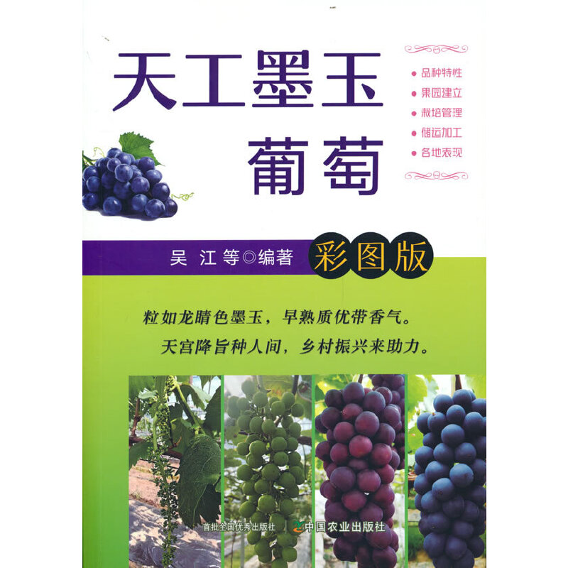 �칤ī������ �ʈD��