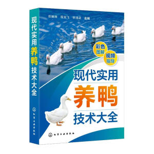 �F(xi��n)�������B(y��ng)�����g(sh��)��ȫ