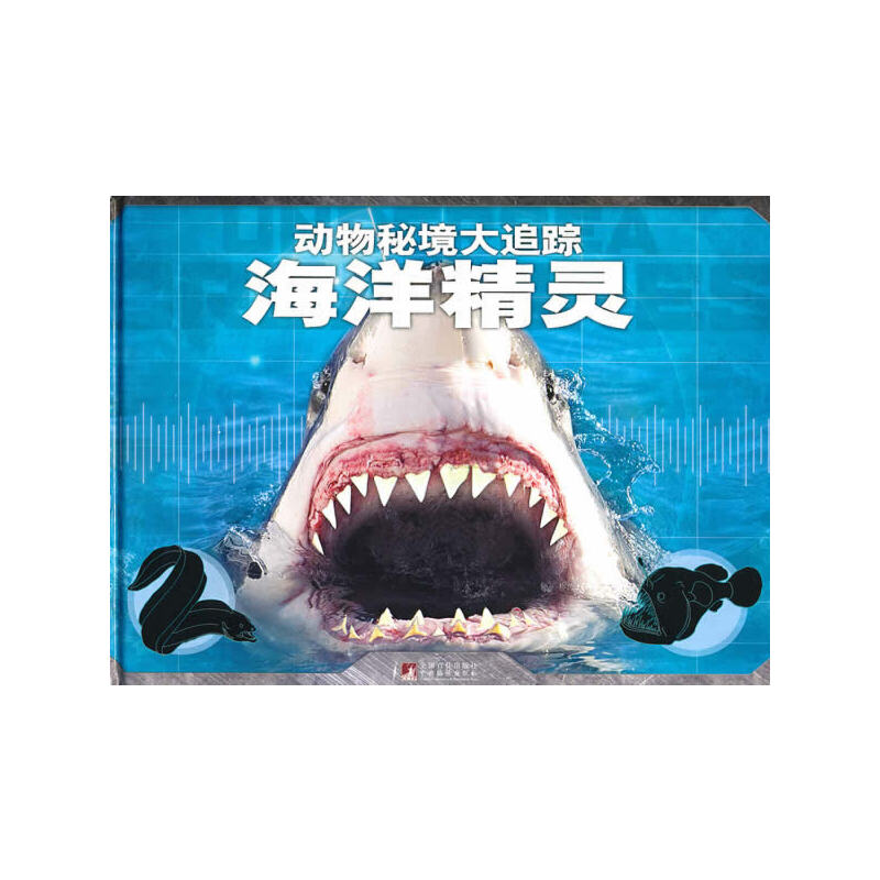 �����`����(d��ng)���ؾ���׷ۙ��