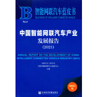 �Ї����ܾW(w��ng)(li��n)��܇�a(ch��n)�I(y��)�l(f��)չ���(2021)/���ܾW(w��ng)(li��n)��܇�{(l��n)Ƥ��