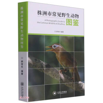 �����г�ҊҰ����(d��ng)��D�b