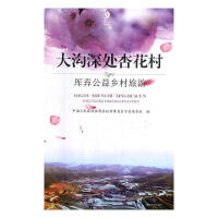 �����̎�ӻ��壺���l�����l(xi��ng)������