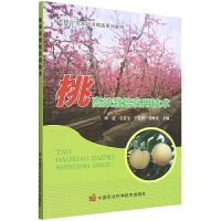 �Ҹ�Ч�������ü��g