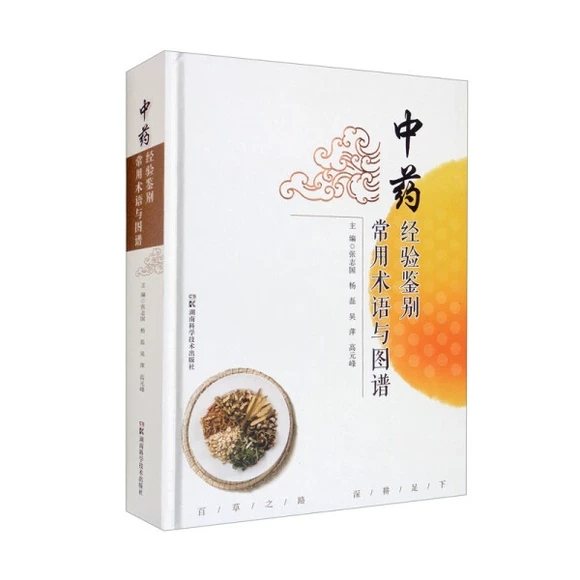 ��ˎ����b�e�����g�Z�c�D�V