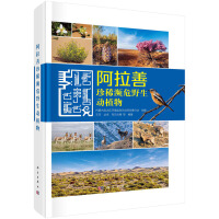 ��������ϡ�lΣҰ����ֲ��