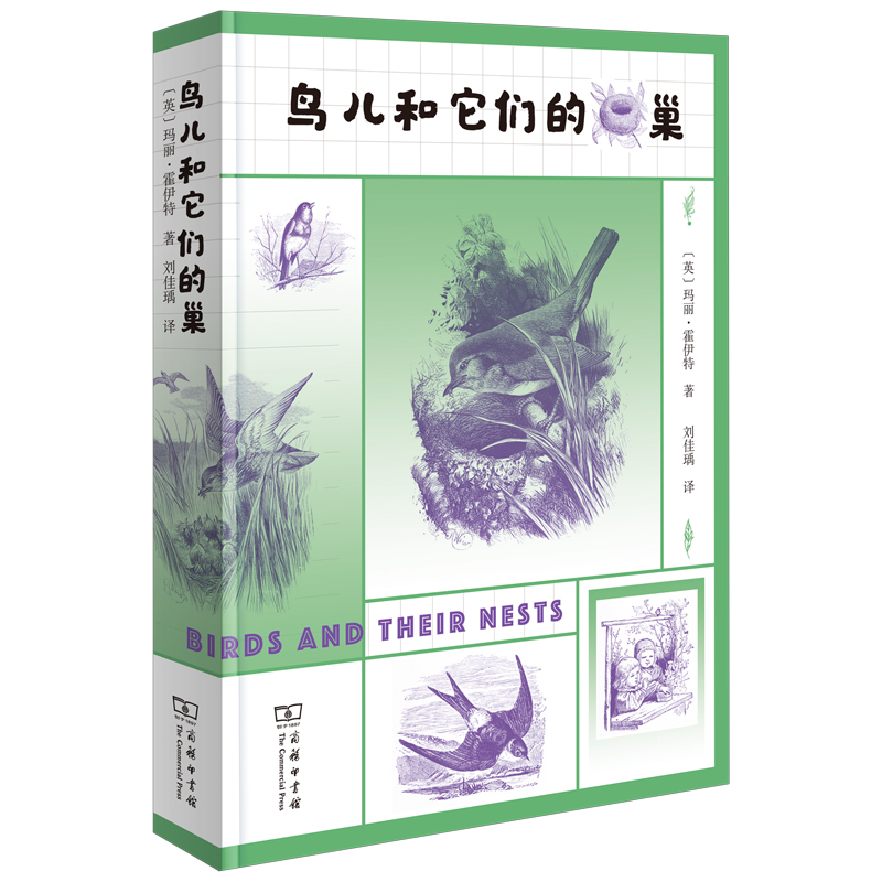 鳥(niǎo)兒和它們的巢