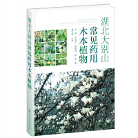 ������eɽ��Ҋˎ��ľ��ֲ��