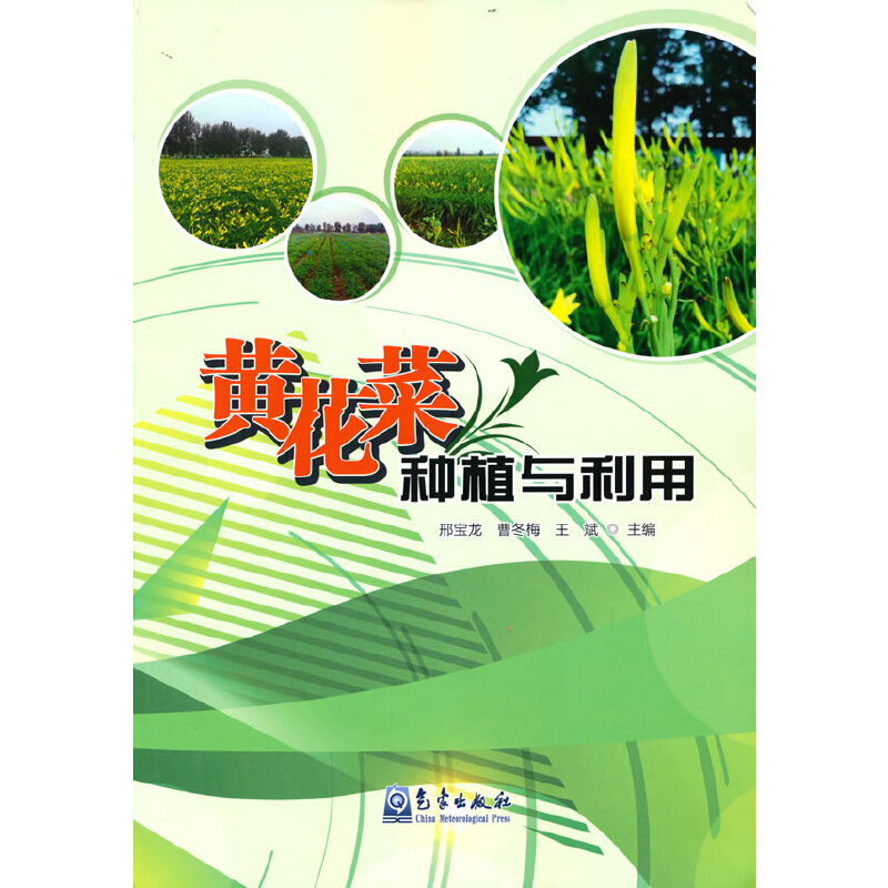 �S���˷Nֲ�c����