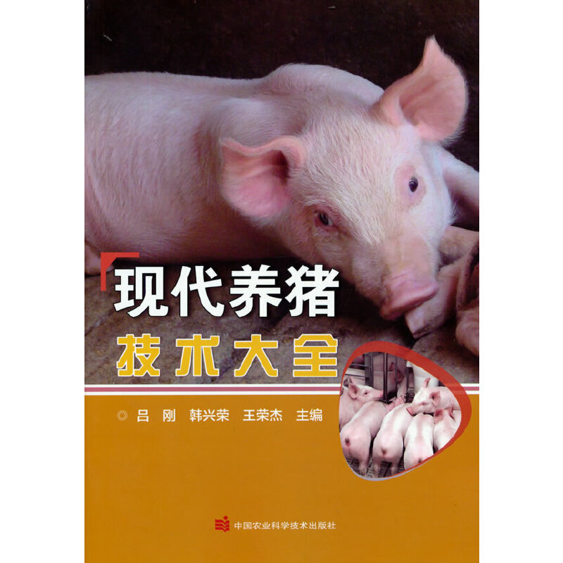 �F(xi��n)���B(y��ng)�i���g(sh��)��ȫ