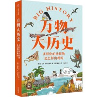 ���ӻ��Ą�ֲ�������ӳ��F(xi��n)��