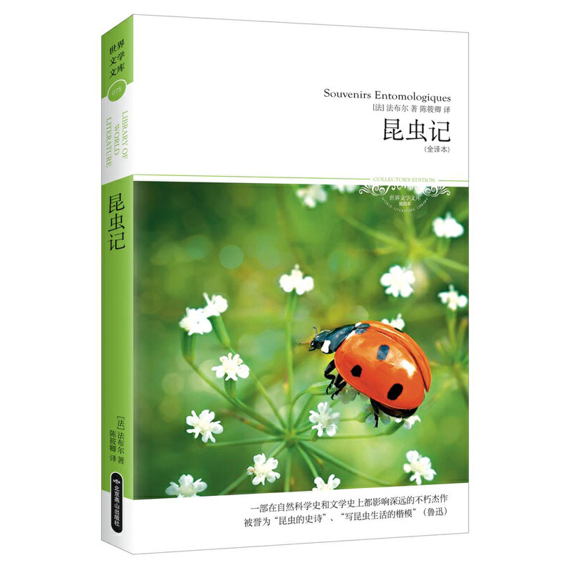 ���xӛ�������ČW(xu��)�Ď�075)