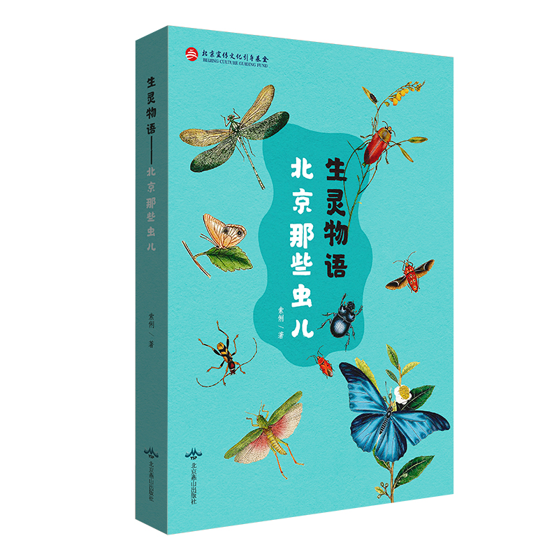 ���`���Z-������Щ�x��