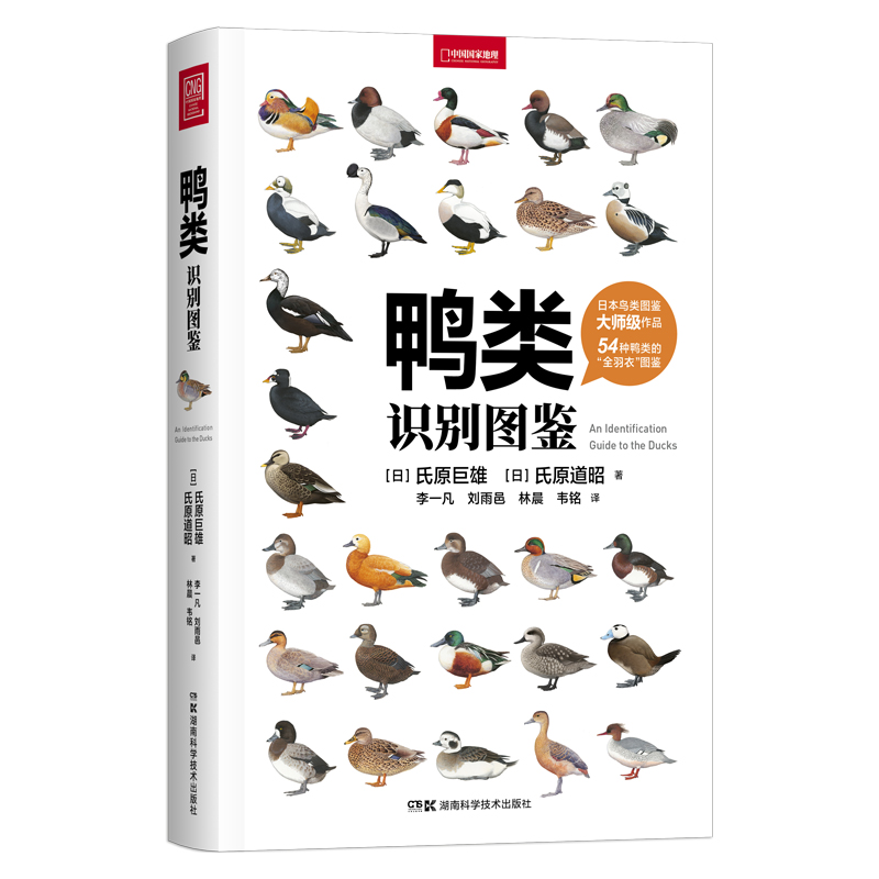 ����R�e�D�b���^�B�˵ġ�����������54�N��ġ�ȫ���¡��D�b��