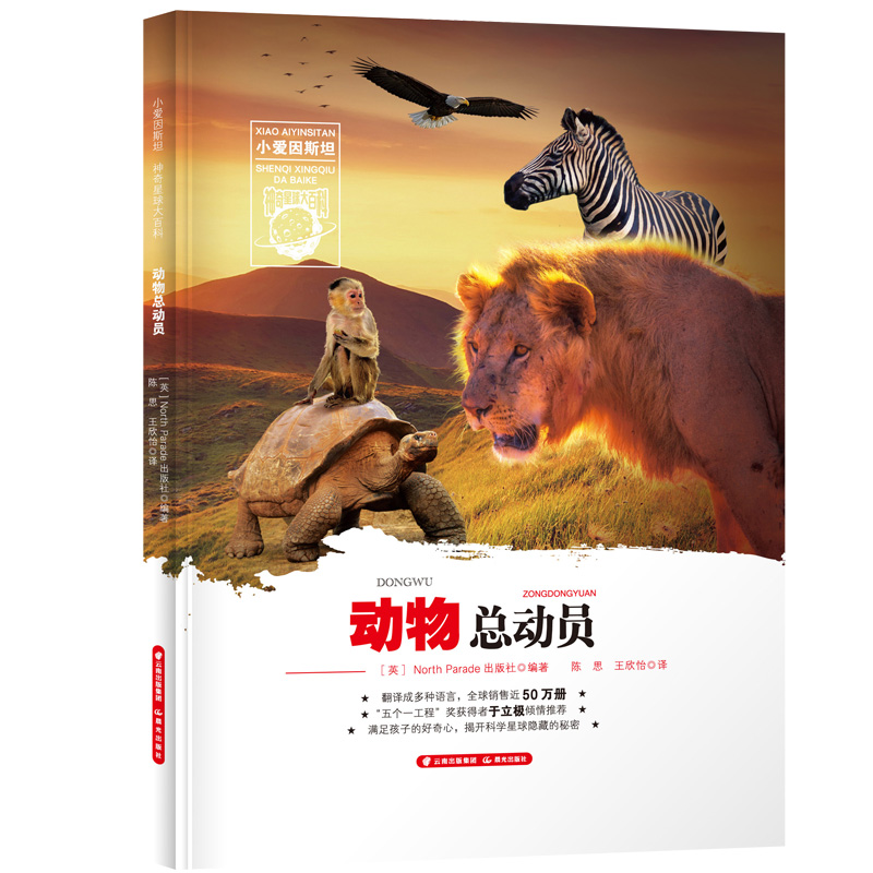 С��(��i)��˹̹ ���������ٿơ���?ji��ng)��ￂ�?d��ng)�T