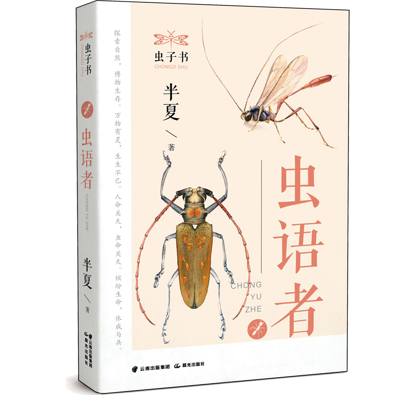 �x�ӕ��������x�Z(y��)�ߡ�