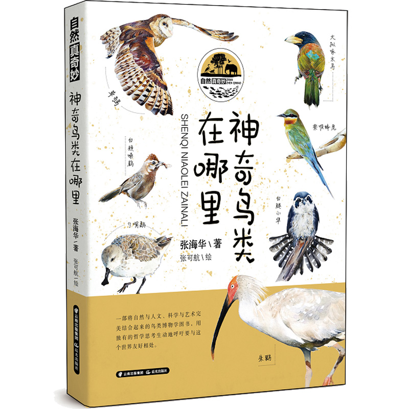 ��Ȼ������������B�������