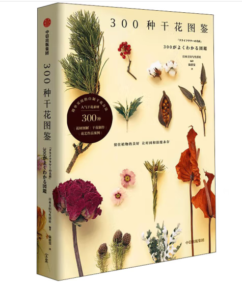 300�N�ɻ��D�b