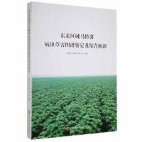 �|���^(q��)���R������x�ݺ��D�V�b�����C�Ϸ���