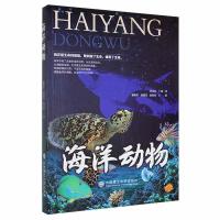 �����(d��ng)��