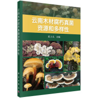 ����ľ�ĸ�������YԴ�Ͷ�����