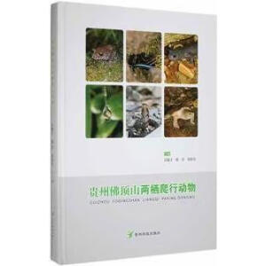 �F�ݷ��ɽ�ɗ����Є���