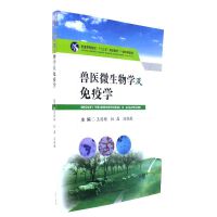 �����Ј��о����������ϵ؅^(q��)�Ĵ�������