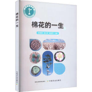 �޻���һ��