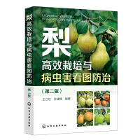 ���Ч�����c���x�����D���Σ��ڶ��棩