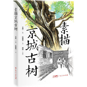 ���辩�ǹŘ�