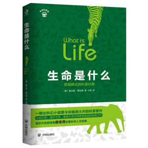 ������ʲô