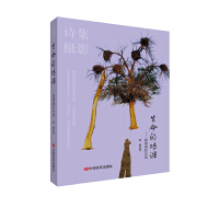 �����Ĺ��n������ɺ�zӰԊ��