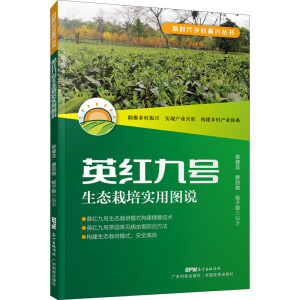 Ӣ�t��̖(h��o)���B(t��i)������(sh��)�ÈD�f