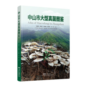 ��ɽ�д�������D�b