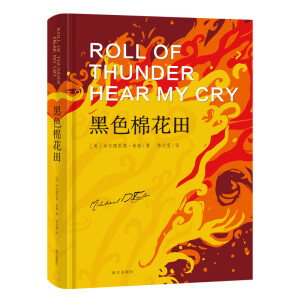 ��ɫ�޻���