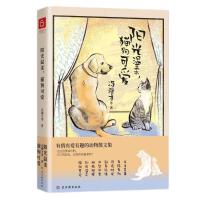 ꖹ���ᣬ؈���ɐ�