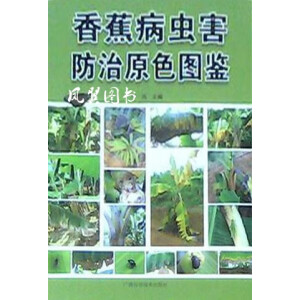 �㽶���x(ch��ng)������ԭɫ�D�b