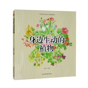 ����߅��ֲ��