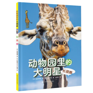 ����@��Ĵ�����