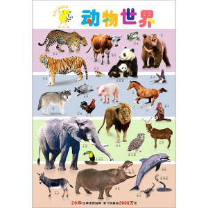 ����J�p���D