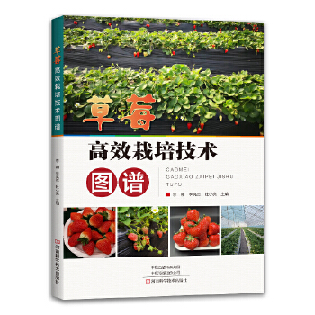 ��ݮ��Ч���༼�g(sh��)�D�V